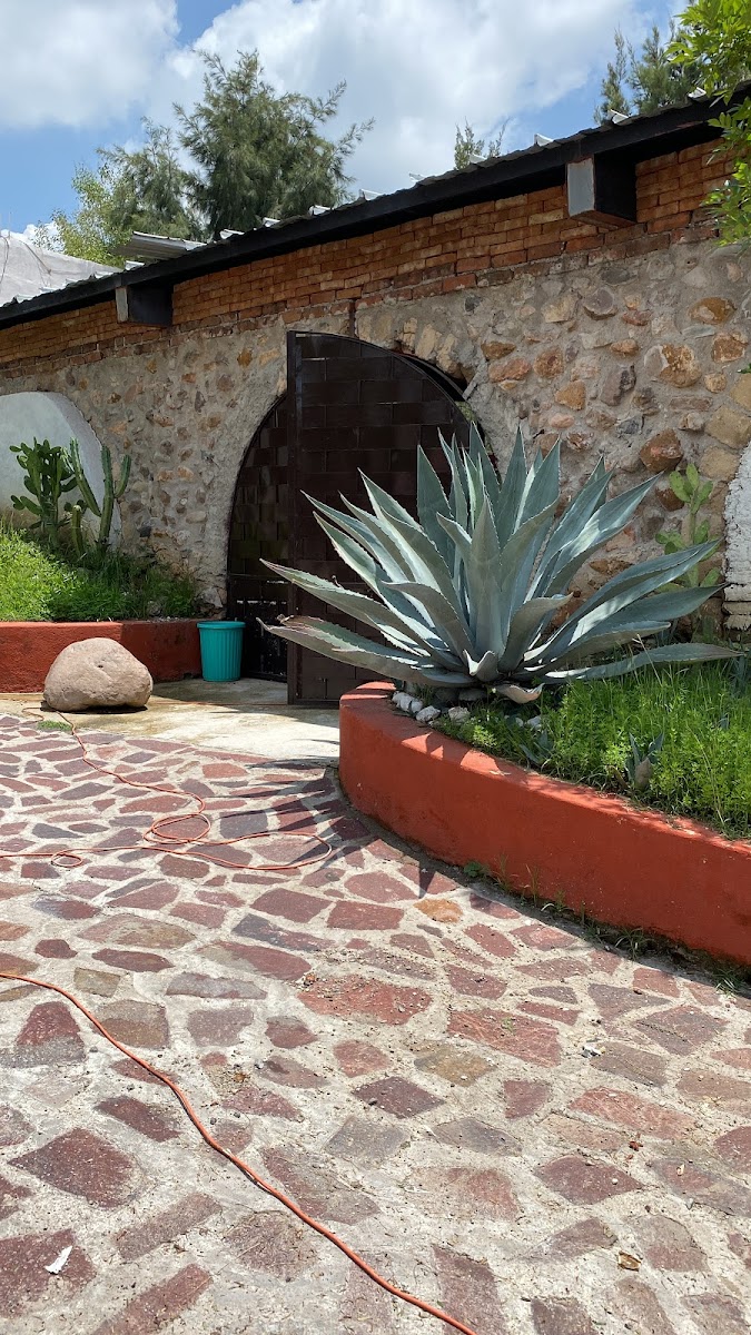 Habitaciones el nuevo capulin